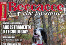 Beccacce che Passione numero 1 2019 vi aspetta in edicola Copertina gennaio/febbraio 2019
