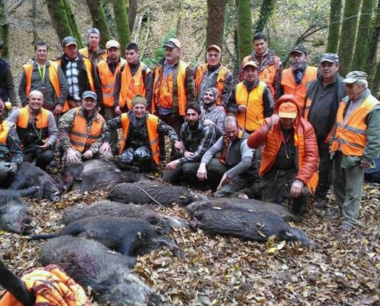 Caccia in braccata: la Squadrina di Monticiano La Squadrina di Monticiano