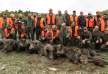 La caccia al cinghiale secondo Leica Caccia al cinghiale