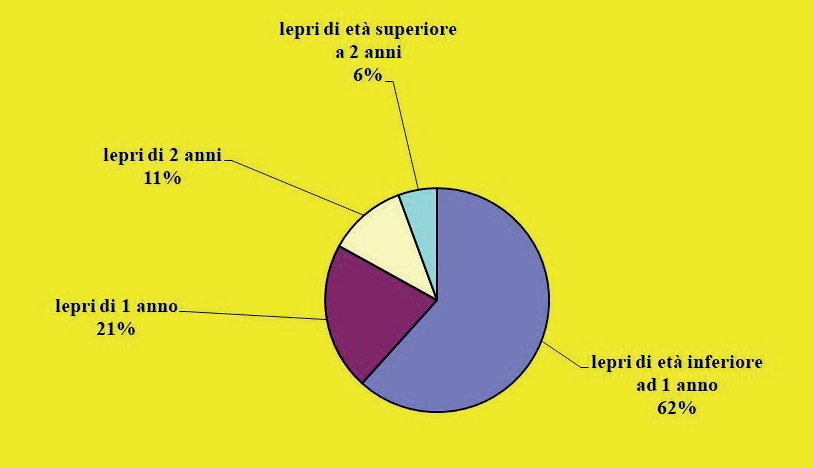 Età delle lepri abbattute