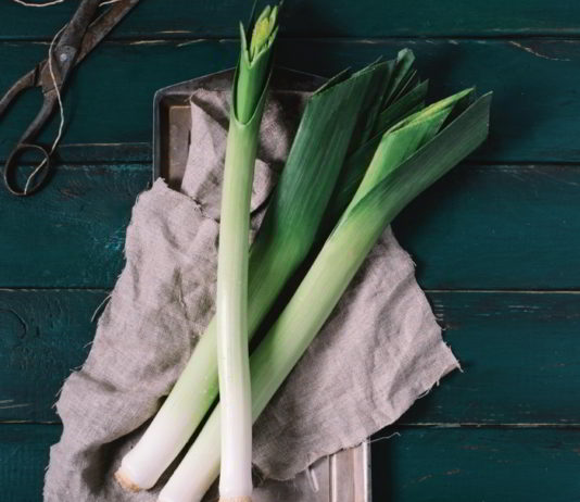 Le ricette di Vissani: millefoglie al porro con carpaccio di capriolo le ricette di Vissani-Porro