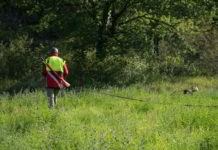 I calibri per il recupero degli ungulati feriti recupero animali feriti