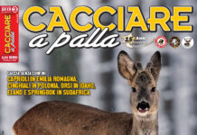 Cacciare a Palla marzo 2019 in edicola dal 16 febbraio Cacciare a Palla marzo 2019