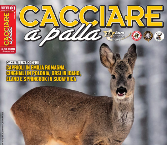 Cacciare a Palla marzo 2019 in edicola dal 16 febbraio Cacciare a Palla marzo 2019