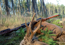 Appunti di ricarica: che cosa leggere per capirne di balistica e dintorni ricarica