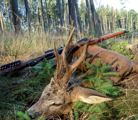 Appunti di ricarica: che cosa leggere per capirne di balistica e dintorni ricarica
