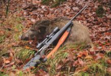 Zeiss media event: monteria alla tedesca Zeiss media event, caccia al cinghiale