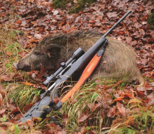 Zeiss media event: monteria alla tedesca Zeiss media event, caccia al cinghiale