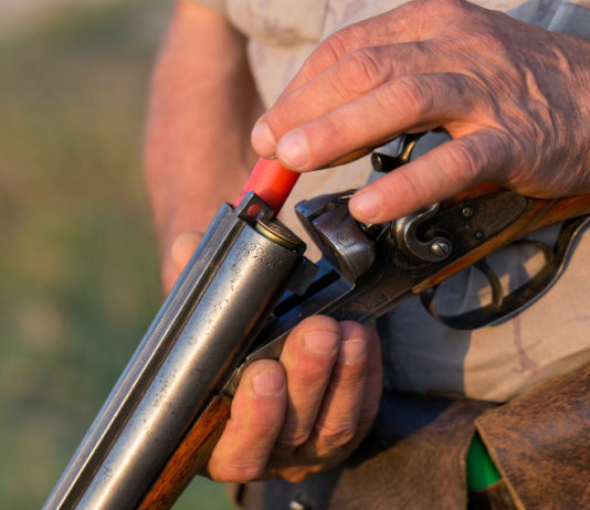 Sicurezza a caccia: i dati della stagione venatoria 2018/2019 sicurezza a caccia: cacciatore carica fucile a canna liscia