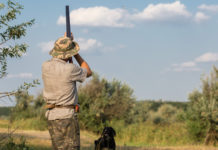 Assemblea nazionale Federcaccia, fissata la data a caccia di fagiani con drathaar e spaniel: assemblea nazionale federcaccia