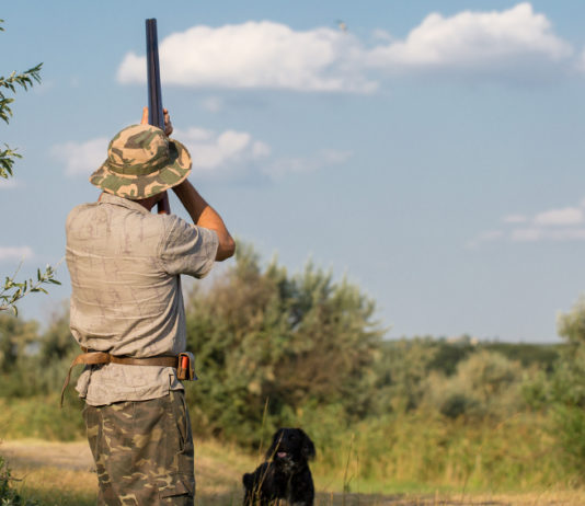 Assemblea nazionale Federcaccia, fissata la data a caccia di fagiani con drathaar e spaniel: assemblea nazionale federcaccia