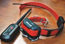 Benelli Caddy: il collare smart per il cane da caccia Benelli Caddy