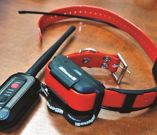 Benelli Caddy: il collare smart per il cane da caccia Benelli Caddy