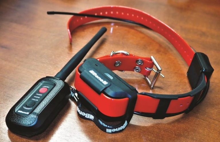 Collare Con Beeper Per Cani Da Caccia: Suono Forte, Alta Udibilità, Addestramento E Rintracciamento - Resistente