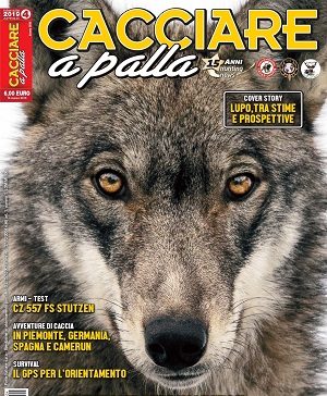 Cacciare a palla n.4 Aprile 2019 Cacciare a Palla aprile 2019