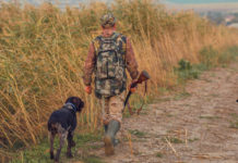 Corso per dirigenti di associazioni venatorie, ecco le date e gli argomenti cacciatore di spalle con fucile in mano, mentre cammina con due cani: corso per dirigenti di associazioni venatorie