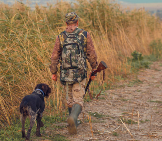 Corso per dirigenti di associazioni venatorie, ecco le date e gli argomenti cacciatore di spalle con fucile in mano, mentre cammina con due cani: corso per dirigenti di associazioni venatorie