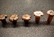 Ecco il nuovo distributore di Hasler Bullets distributore di hasler, munizioni a palla lead free