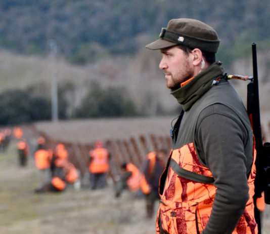 Cinghiale che Passione aprile-maggio 2019 in edicola dal 21 marzo foto di copertina cinghiale che passione aprile-maggio 2019