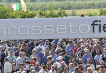 Game Fair 2019, la festa del cacciatore sotto le stelle game fair 2019