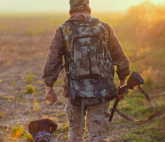 Gestione della caccia, Centinaio: “Il ministero dell’Agricoltura rivuole le competenze” gestione della caccia: cacciatore con cane e fucile da dietro