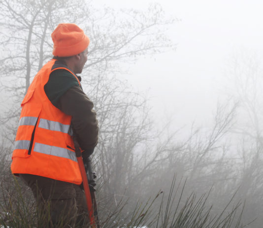 Sicurezza a caccia, sabato convegno a Montalto di Castro sicurezza a caccia, cacciatore con veste alta visibilità