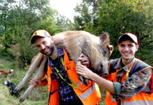 Caccia in tv, tre novità a maggio a caccia in tv sky caccia 235 giovani leoni