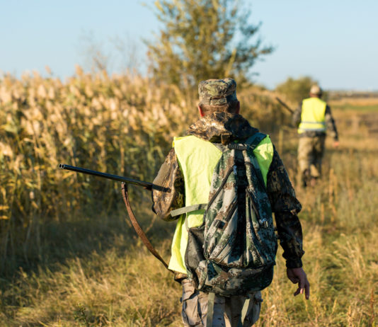 Caccia in Toscana, partito l’iter per la conferenza regionale della caccia caccia in toscana