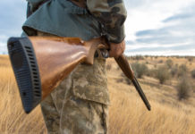 Controllo faunistico, il governo impugna ancora controllo faunistico, in primo piano fucile nella mano destra di un cacciatore