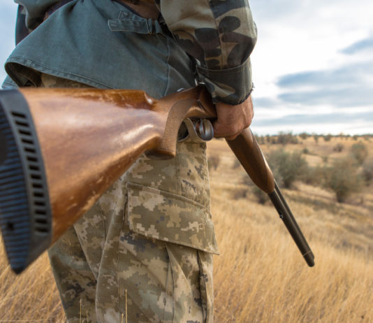 Controllo faunistico, il governo impugna ancora controllo faunistico, in primo piano fucile nella mano destra di un cacciatore