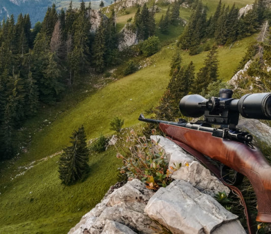 Calendario venatorio del Trentino, ecco date e indicazioni calendario venatorio del trentino, carabina con ottica appoggiata su una roccia, caccia in zona alpi