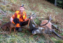 Cani da traccia, a Polinago (MO) la prima prova organizzata da S.C.I. Italian Chapter recupero ungulati feriti cani da traccia federico caliumi pirsch