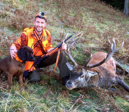 Cani da traccia, a Polinago (MO) la prima prova organizzata da S.C.I. Italian Chapter recupero ungulati feriti cani da traccia federico caliumi pirsch
