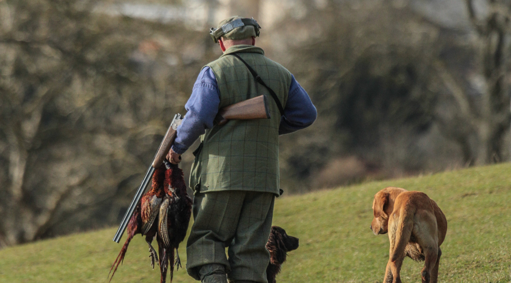 requisiti per guardia volontaria firenze: cacciatore di spalle con fucile e due fagiani, cane alla sua destra