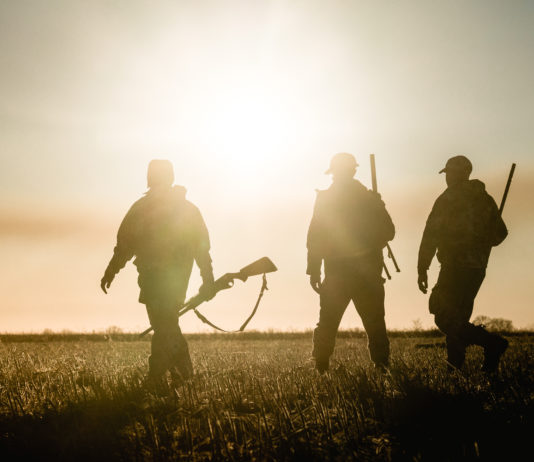 Parco nazionale degli Iblei: caccia a rischio in Sicilia Parco nazionale degli Iblei