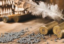 Munizioni senza piombo munizioni senza piombo