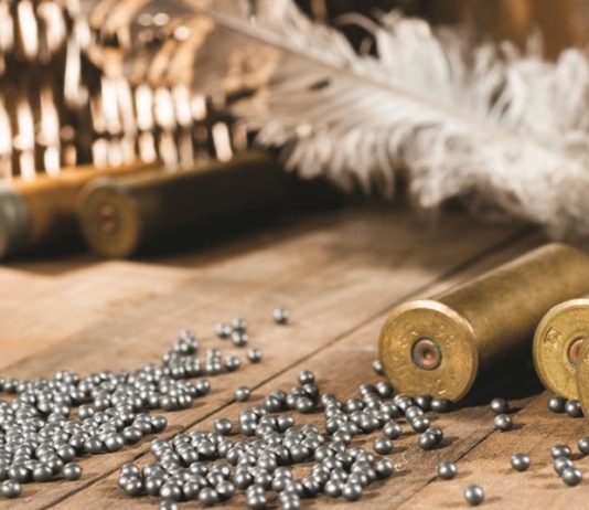 Munizioni senza piombo munizioni senza piombo