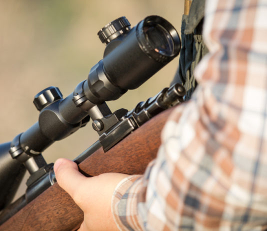 Caccia di selezione in Piemonte, la giunta sulla prova di tiro Caccia di selezione in Piemonte, la giunta sulla prova di tiro