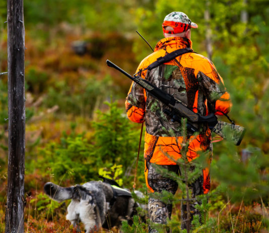 Elezioni europee, Face si lancia nella campagna elettorale Elezioni europee, Face si lancia nella campagna elettorale