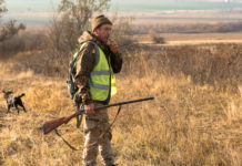 Legge sulla caccia, la proposta di riforma di Cia-Agricoltori cacciatore con cane, fucile e veste alta visibilità: legge sulla caccia, la proposta di riforma di Cia-Agricoltori