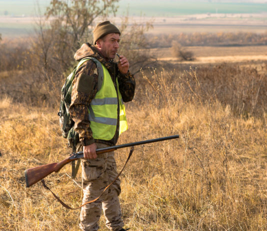 Legge sulla caccia, la proposta di riforma di Cia-Agricoltori cacciatore con cane, fucile e veste alta visibilità: legge sulla caccia, la proposta di riforma di Cia-Agricoltori