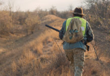 Parchi e aree protette, lettera aperta della cabina di regia del mondo venatorio Parchi e aree protette, lettera aperta della cabina di regia del mondo venatorio