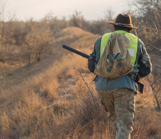Parchi e aree protette, lettera aperta della cabina di regia del mondo venatorio Parchi e aree protette, lettera aperta della cabina di regia del mondo venatorio