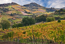 Torna il progetto scolastico “La biodiversità è UNA” bertinoro forlì cesena progetto scolastico la biodiversità è una