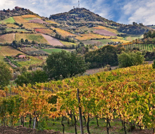 Torna il progetto scolastico “La biodiversità è UNA” bertinoro forlì cesena progetto scolastico la biodiversità è una