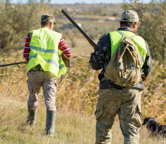Caccia in Lombardia, ok all’osservatorio faunistico regionale caccia in lombardia, due cacciatori di spalle con cane