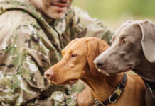 Maltrattamento animale, 5 Stelle presentano ddl che tocca i cacciatori cacciatore con due cani ddl su maltrattamento animale