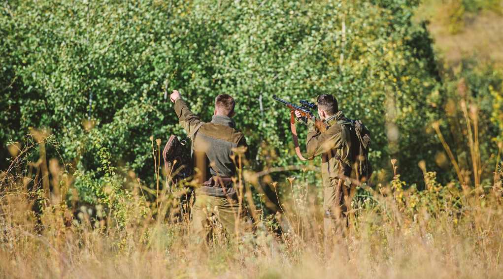 due cacciatori nei fondi privati, di spalle due cacciatori nei fondi privati, di spalle