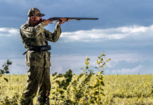 Giornata della biodiversità, Buconi (Fidc): «Festa anche per i cacciatori» giornata della biodiversità festa per i cacciatori