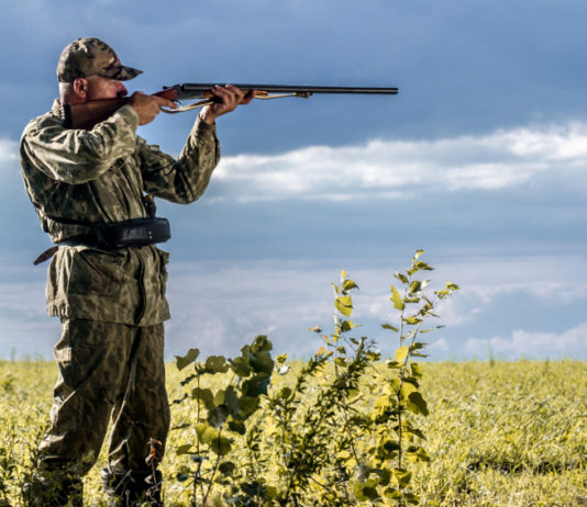 Giornata della biodiversità, Buconi (Fidc): «Festa anche per i cacciatori» giornata della biodiversità festa per i cacciatori